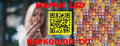 индика Новозыбков