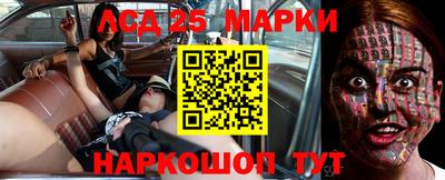 индика Новозыбков