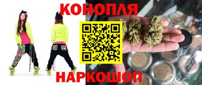 индика Новозыбков