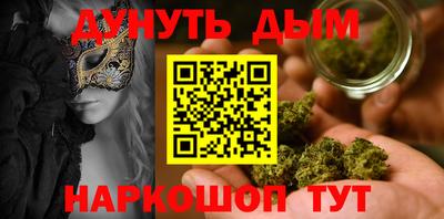 индика Новозыбков