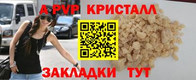 индика Новозыбков