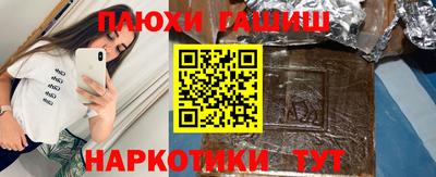 индика Новозыбков