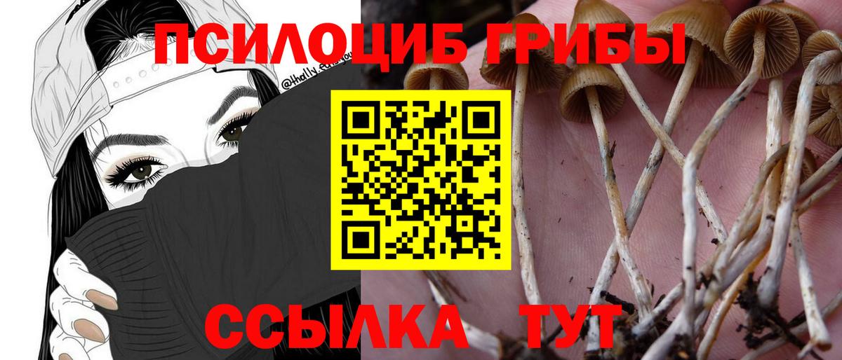 Псилоцибиновые грибы прущие грибы  Вход с VPN  Тобольск 